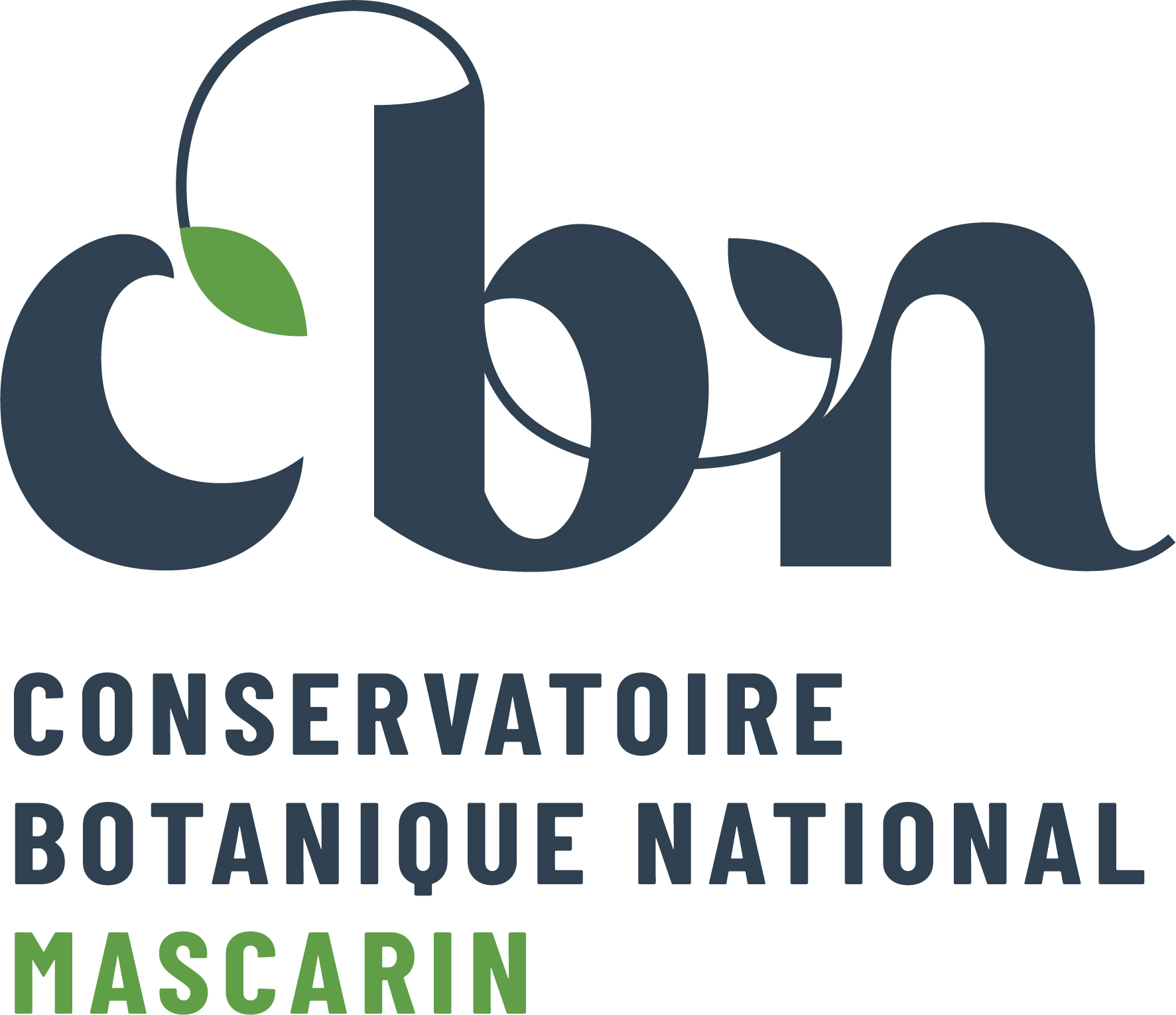 CBN logo horizontal Mascarin RVB